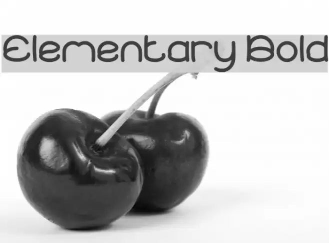 Elementary Bold Font examples