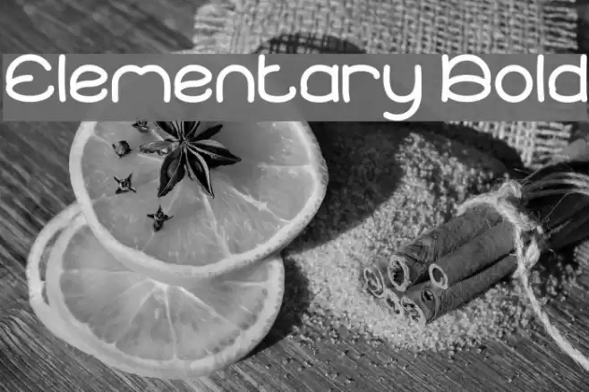 Elementary Bold Font examples