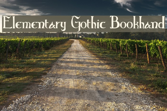 Elementary Gothic Bookhand Example 2