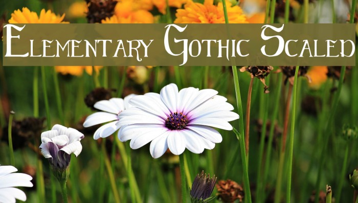 Elementary Gothic Scaled Font examples