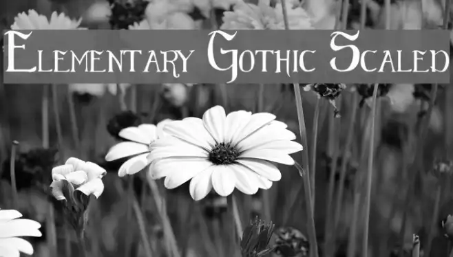 Elementary Gothic Scaled Example 1