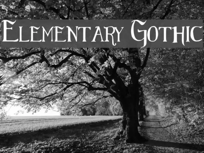 Elementary Gothic Font examples