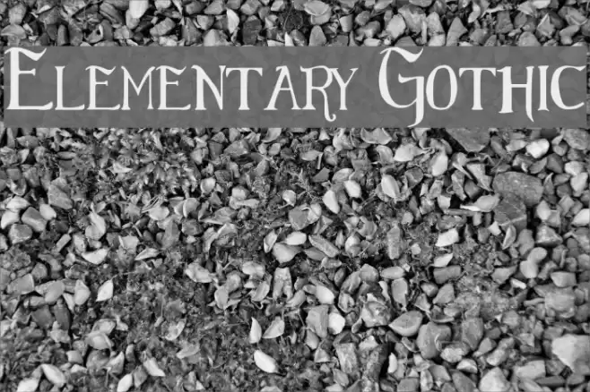 Elementary Gothic Font examples