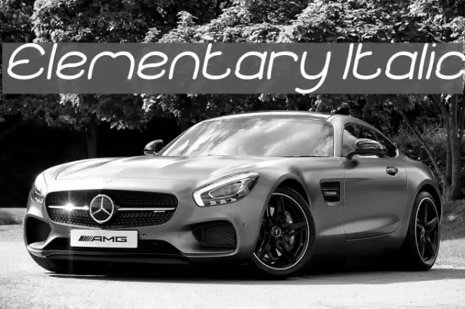 Elementary Italic Font examples