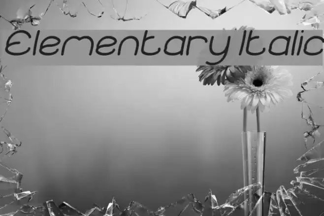 Elementary Italic Font examples