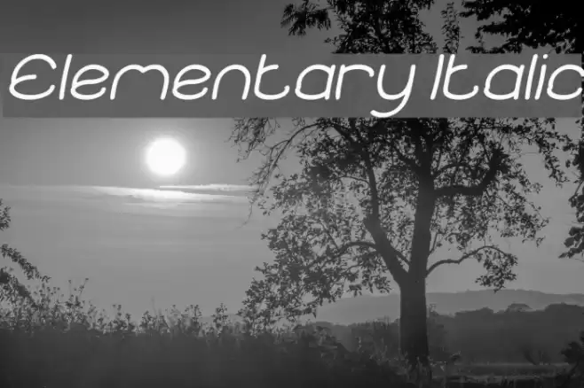 Elementary Italic Font examples