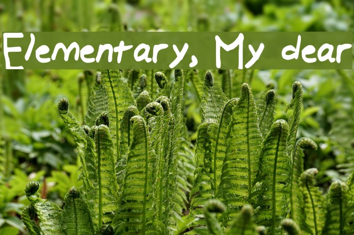 Elementary, My dear Font examples