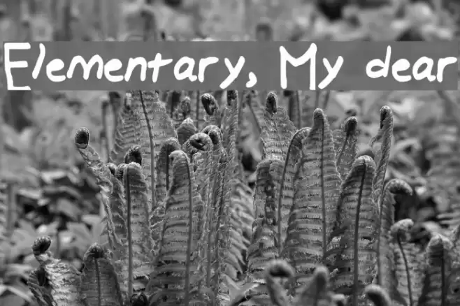 Elementary, My dear फ़ॉन्ट examples