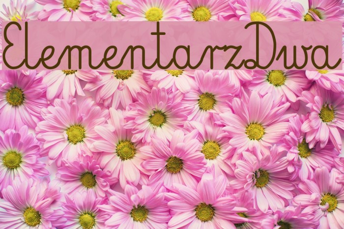 ElementarzDwa Font examples
