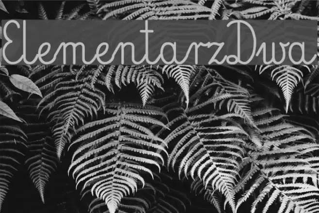 ElementarzDwa Font examples