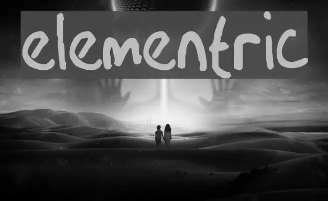 Elementric Example 1