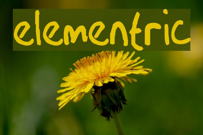 Elementric Font examples