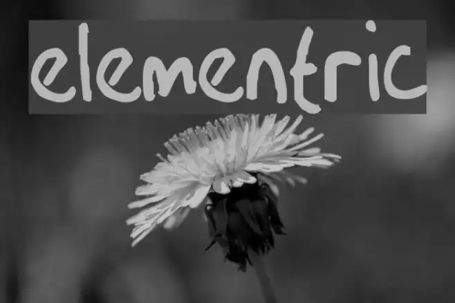 Elementric Example 2