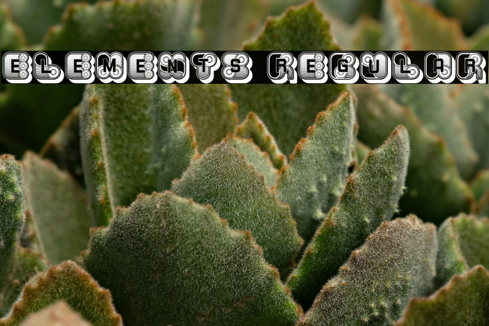 Elements Regular Example 3