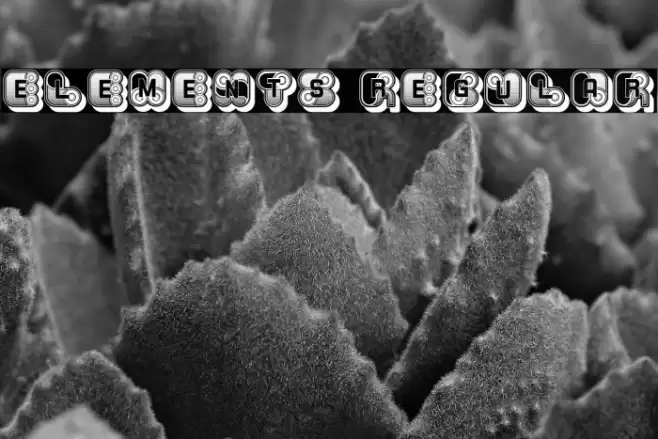 Elements Regular Шрифта examples