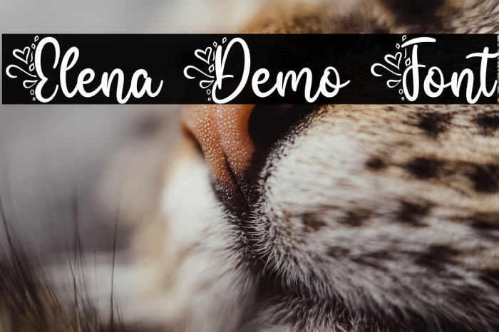 Elena Demo Font Example 1