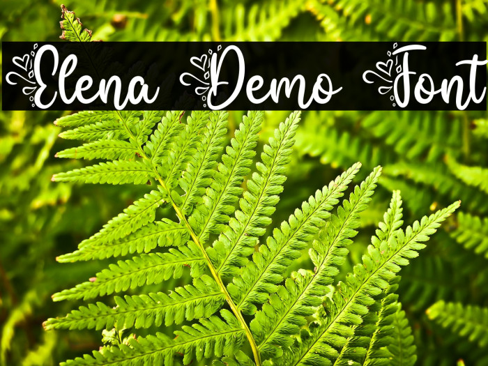Elena Demo Font Example 3