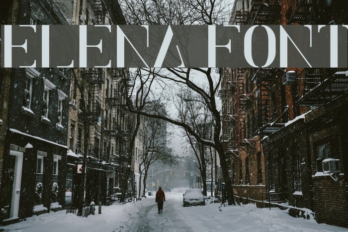 Elena Font examples