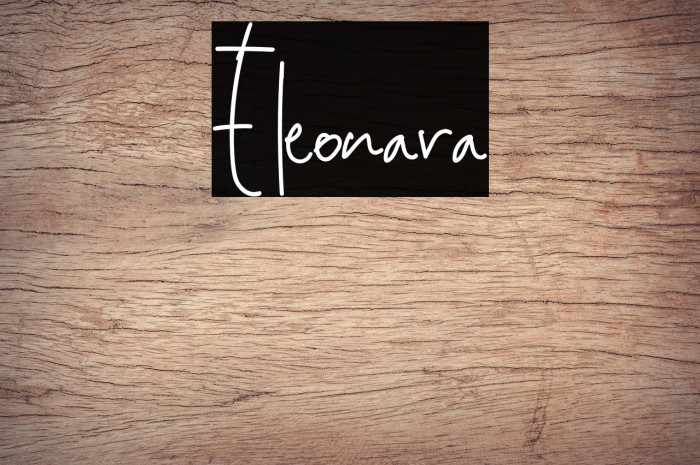 Eleonara Example 1