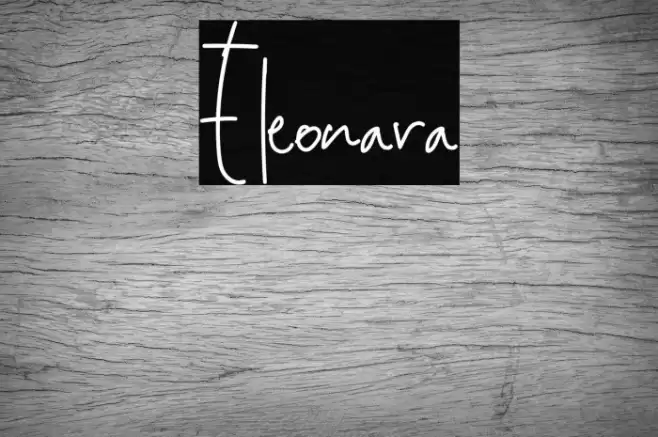 Eleonara Font examples