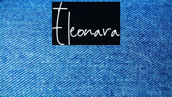 Eleonara Example 2