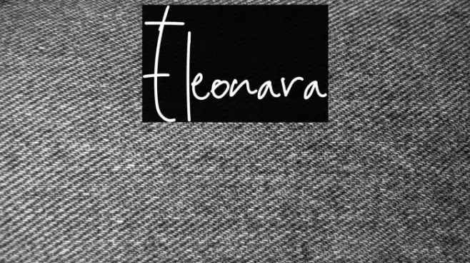 Eleonara Font examples