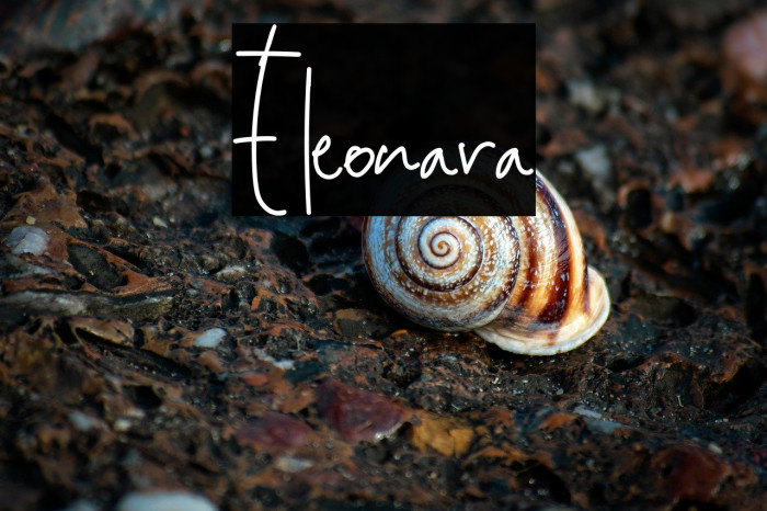 Eleonara Example 3