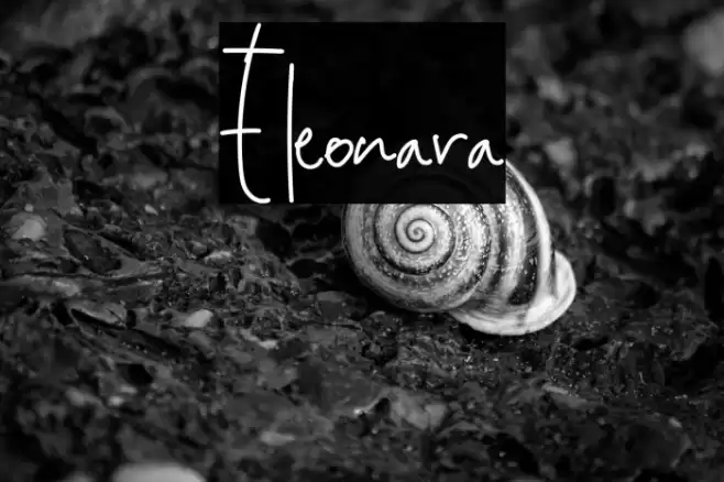 Eleonara Font examples
