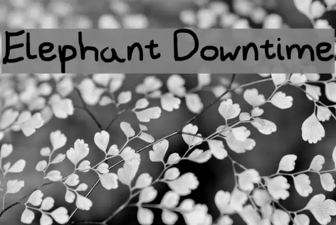 Elephant Downtime Font examples