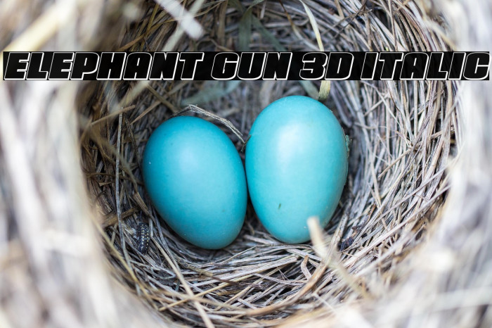 Elephant Gun 3D Italic Example 3