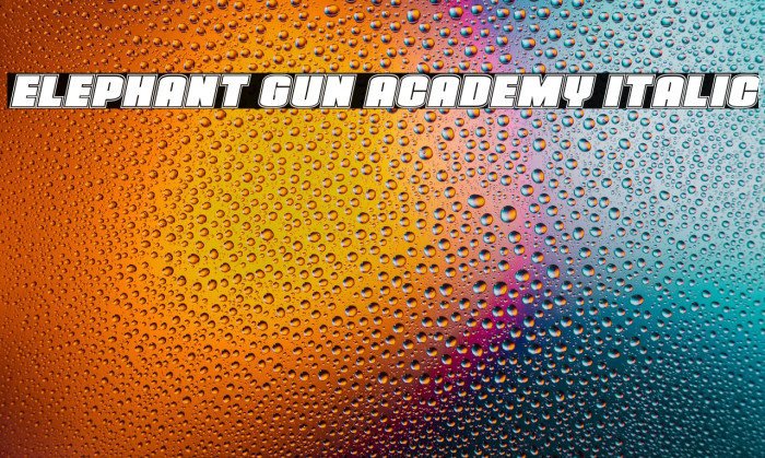 Elephant Gun Academy Italic Example 1