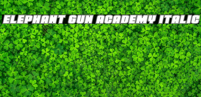 Elephant Gun Academy Italic Example 2