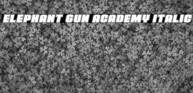 Elephant Gun Academy Italic Font examples