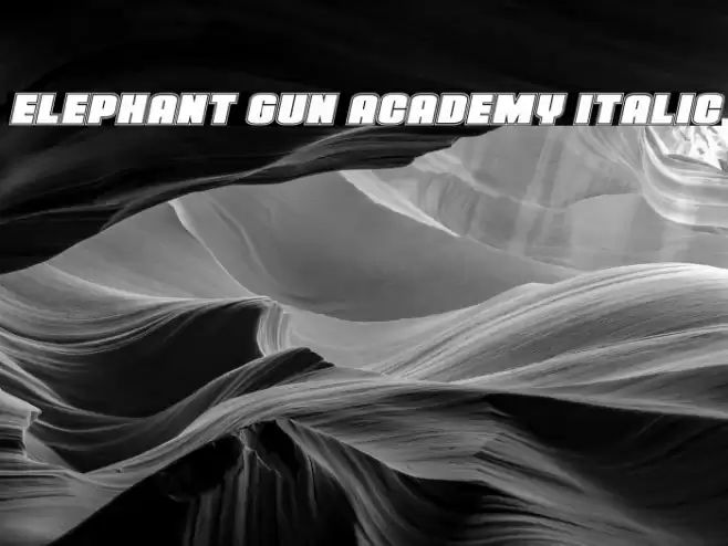 Elephant Gun Academy Italic Font examples