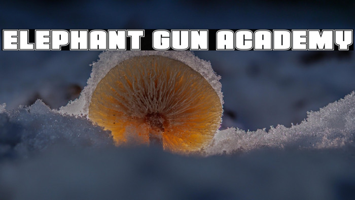 Elephant Gun Academy Example 1