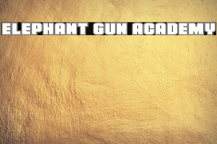 Elephant Gun Academy Example 2