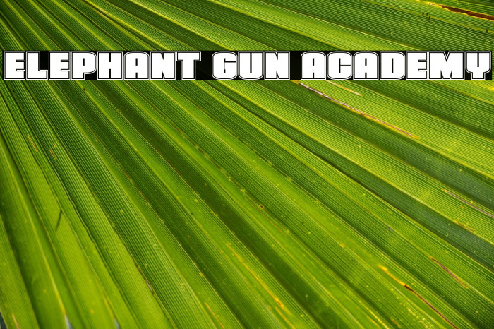 Elephant Gun Academy Example 3