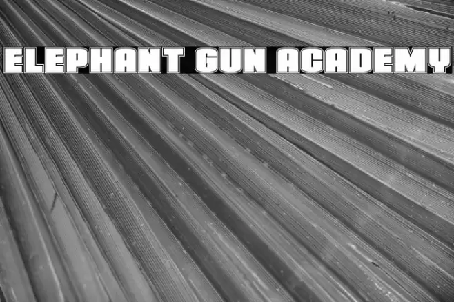 Elephant Gun Academy Font examples
