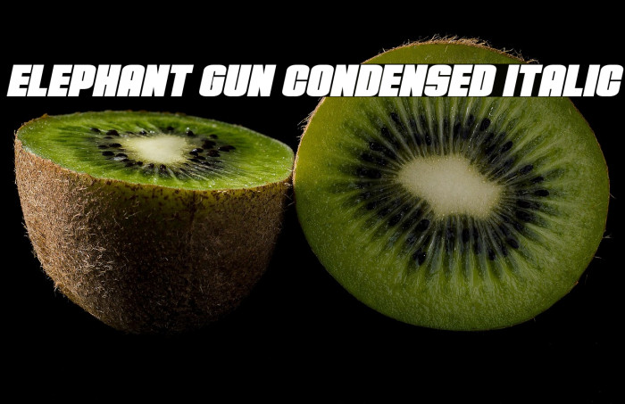 Elephant Gun Condensed Italic Example 1