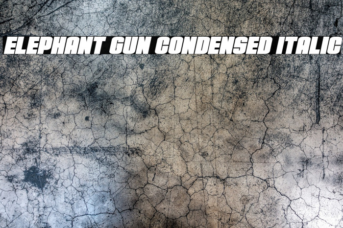 Elephant Gun Condensed Italic Example 2