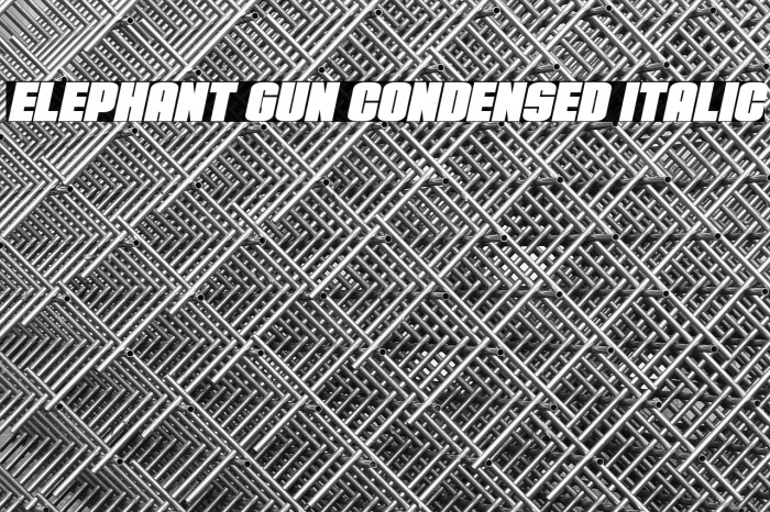 Elephant Gun Condensed Italic Example 3
