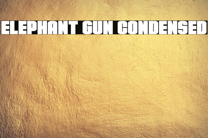 Elephant Gun Condensed Example 1