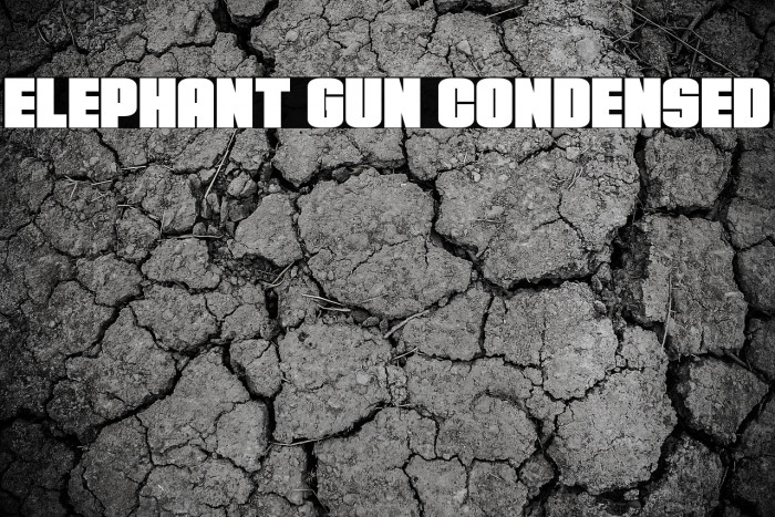 Elephant Gun Condensed Example 2
