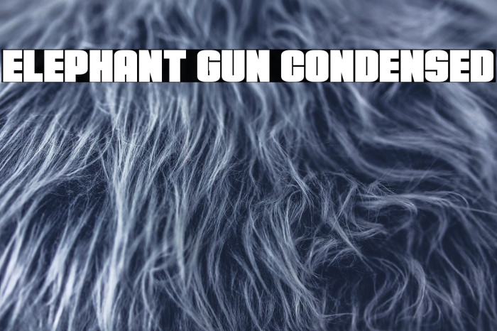 Elephant Gun Condensed Example 3