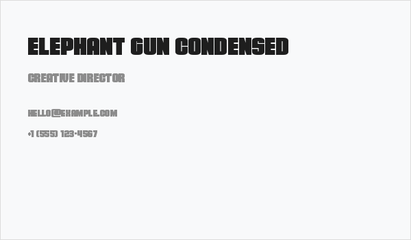 Elephant Gun Condensed Business Card