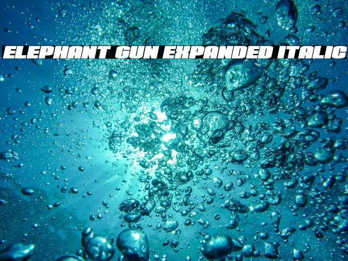 Elephant Gun Expanded Italic Example 3