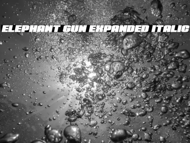 Elephant Gun Expanded Italic Font examples
