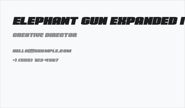 Elephant Gun Expanded Italic Business Card