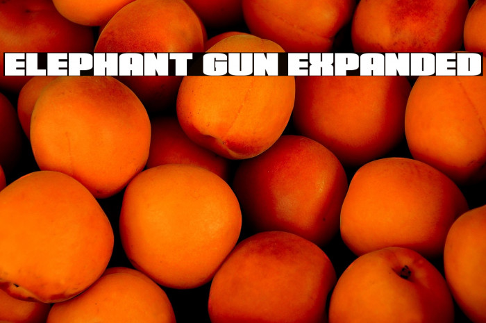 Elephant Gun Expanded Example 2