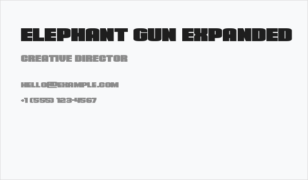 Elephant Gun Expanded Business Card